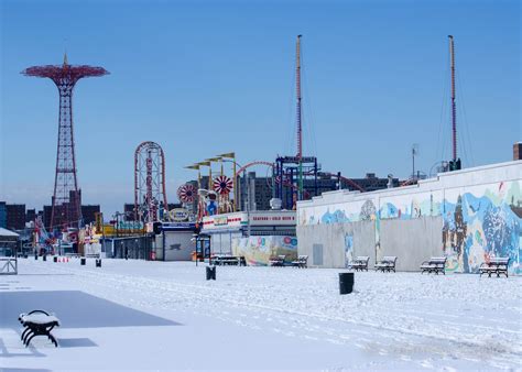 Snapshots of Nature: Coney Island Winter Wonderland