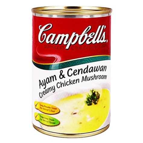 Campbell S Creamy Chicken Mushroom Condensed Soup Can 305g