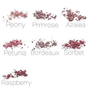 Spice Warm Peachy Nude Vegan Mineral Blush Loose Powder Etsy