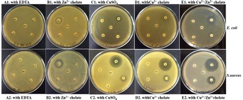 Disc Diffusion Assay Results Of Various Types Of Metal Ions Against E Download Scientific