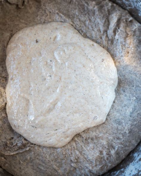 Sprouted Buckwheat Sourdough The Perfect Loaf