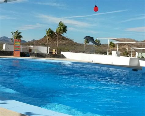 LAS 10 MEJORES cosas que hacer en Guaymas (Actualizado 2025) - Tripadvisor