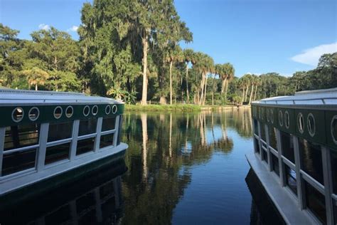 6 Best Glass Bottom Boat Tours in Florida • Authentic Florida