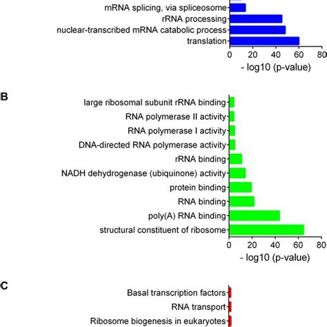 Bioinformatics Analysis Of SNHG6 In Prostate Cancer A Gene Ontology B