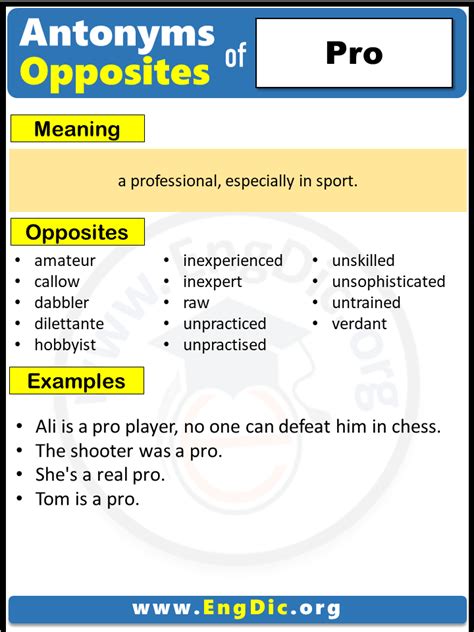 Opposite Of Pro Antonyms Of Pro Example Sentences Engdic