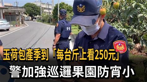 玉荷包每台斤250元 警加強「護荔專案」防宵小－民視新聞 Youtube