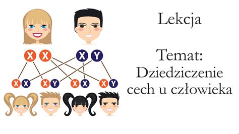 Klasa 8 Dziedziczenie cech u człowieka prezentacja Złoty nauczyciel