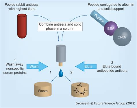 Figure 3 From Replacing Immunoassays With Tryptic Digestion Peptide