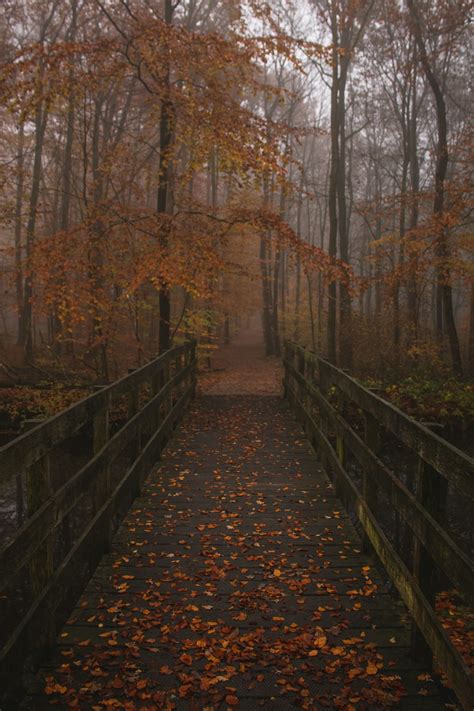 Brown Wooden Bridge During Daytime Photo Free Voorsterweg Image On