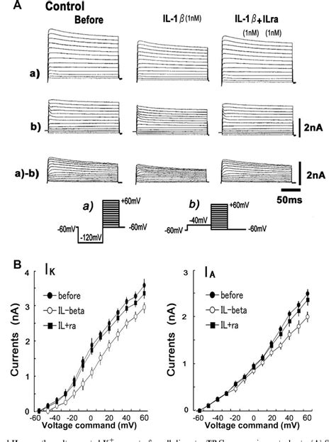 Figure 3 from Activation of interleukin 1β receptor suppresses the