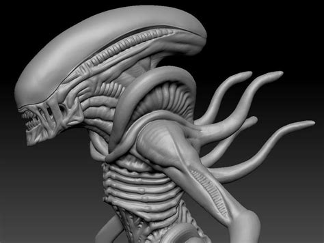 Zbrush Xenomorph Sculpt Tbh Art