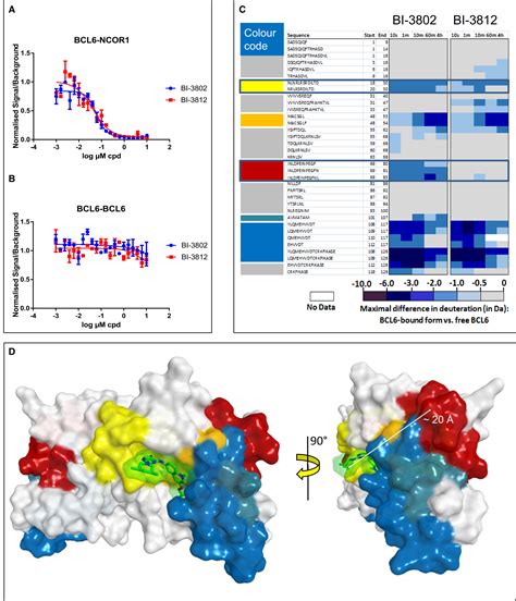 Chemically Induced Degradation Of The Oncogenic Transcription Factor