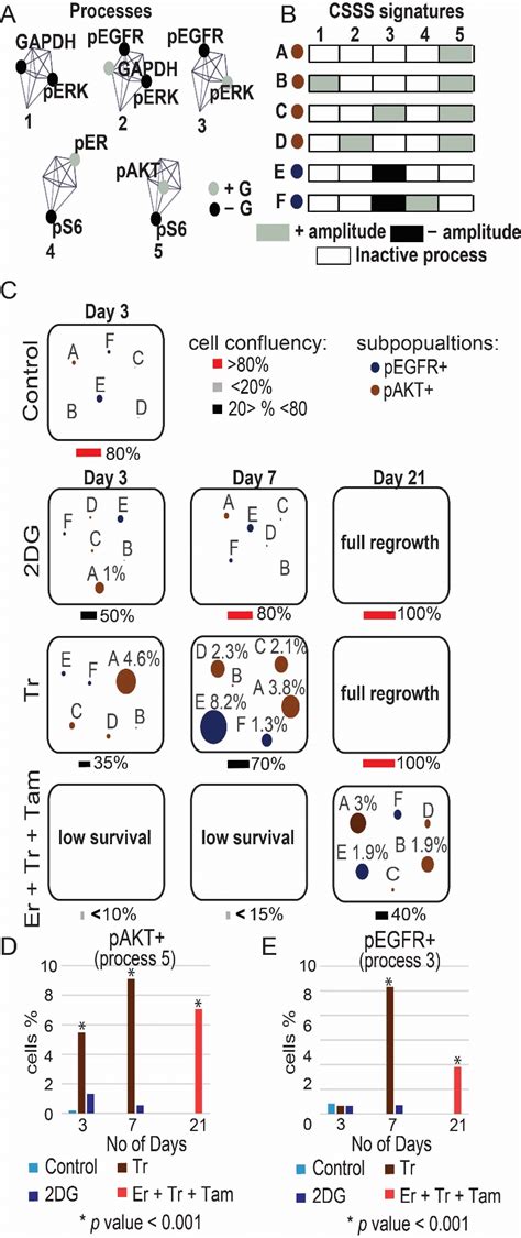 Map Of The Evolutionary Trajectory Of Mda Mb Cells Revealed A