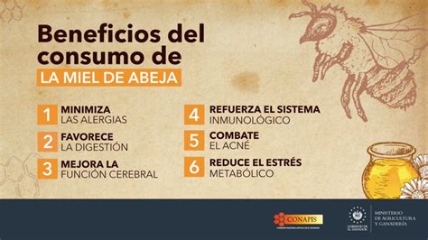 Descubre por qué la miel no caduca y disfruta de sus beneficios