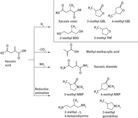 Biological Routes To Itaconic And Succinic Acids