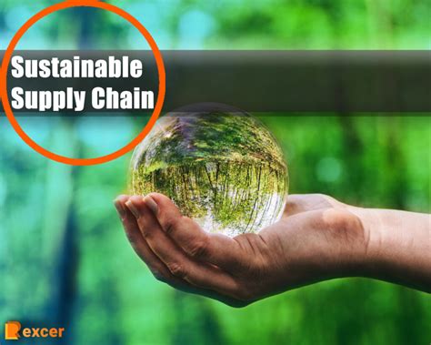 Sustainable Supply Chain 5 Reasons Why It S Matters For Business