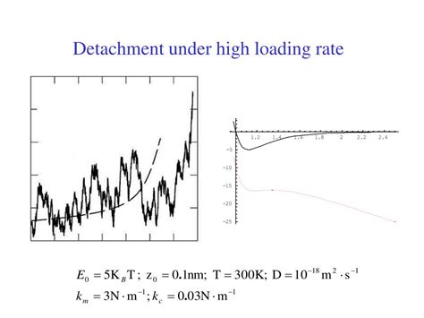 Ppt Simulation Of Single Molecular Bond Rupture In Dynamic Force