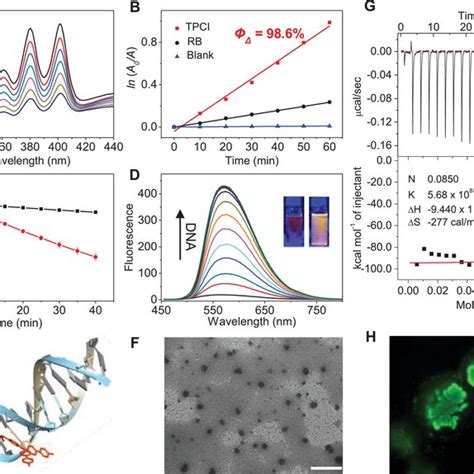 A Uvvis Absorption Spectra Of Abda 100 × 10⁻⁶ M In Tpci Solution 5