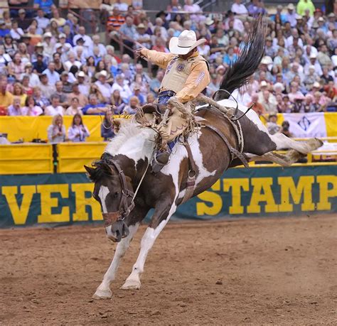 All About Idahos 2024 Snake River Stampede Rodeo