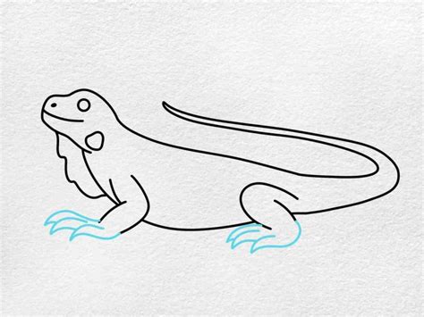 How To Draw An Iguana Helloartsy