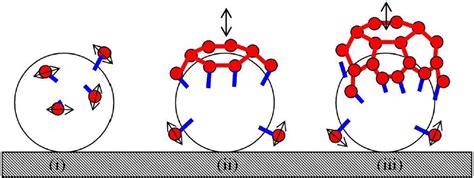 Carbon Nanotube Synthesis and Growth Mechanism | IntechOpen