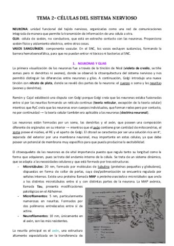 Tema Celulas Del Sistema Nervioso Pdf