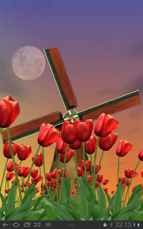 Tulip Windmill Live Wallpaper - Android Apps on Google Play