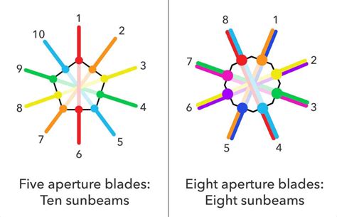 Understanding Camera Aperture The Basics The Photographers