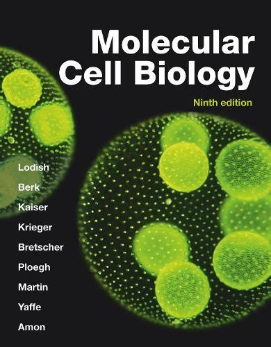 Molecular Cell Biology By Harvey Lodish Arnold Berk Waterstones