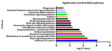 Jpm Free Full Text Integrative Systems Biology Approaches To