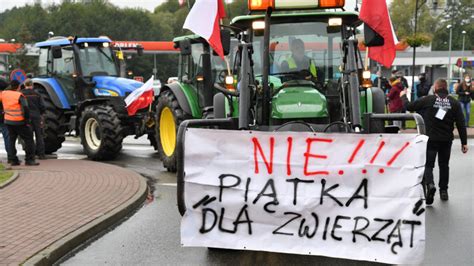 Protesty rolników w całej Polsce przeciwko piątce dla zwierząr Lider