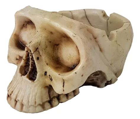 Crânio Caveira Cinzeiro Decorativo Em Resina Skull Ossos MercadoLivre