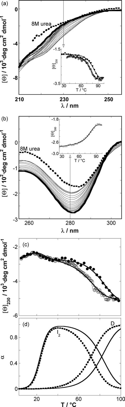 Thermal Denaturation Of Maze Monitored By Cd Spectropolarimetry A