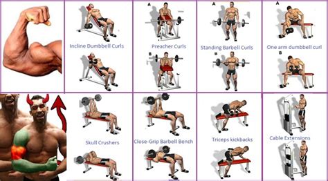 Top Six Exercises To Boost Bicep Mass