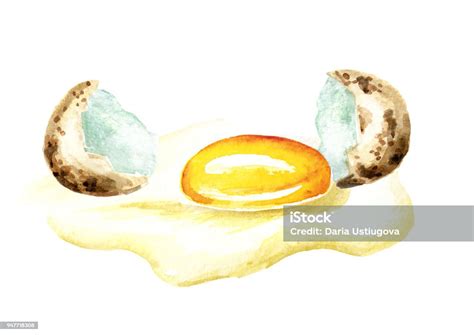 메 추 라 기 계란을 부 러 흰색 배경에 고립 수채화 그림 깨짐에 대한 스톡 벡터 아트 및 기타 이미지 깨짐 달걀 수채화