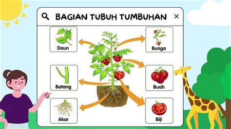 Ipas Kelas 4 Bab 1 Tumbuhan Sumber Kehidupan Di Bumi Topik A Bagian