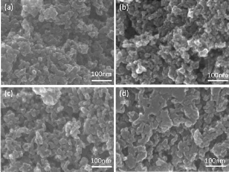 Fe Sem Images Displaying The Morphologies Of As Synthesized Carbon A