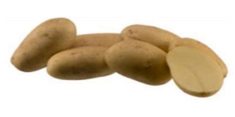 Agrico Presents Four New Potato Varieties During Its Annual Variety