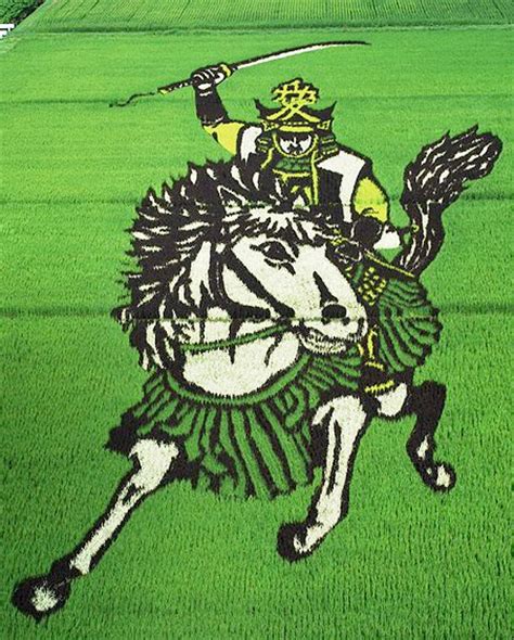 Rice Field Art in Japan