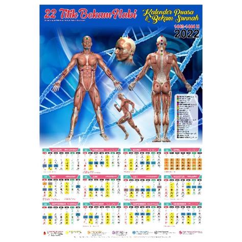 Jual Kalender Bekam Titik Bekam Nabi Shopee Indonesia