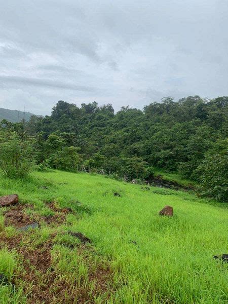 Agricultural Land Acre For Sale In Mahad Raigad Rei