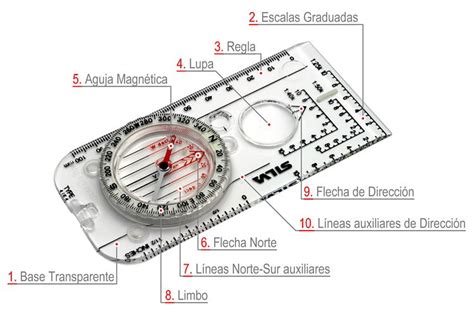 La Br Jula El Elemento Fundamental Para La Orientaci N Activa T