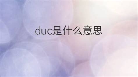 Duc是什么意思 Duc的翻译、读音、例句、中文解释 下午有课