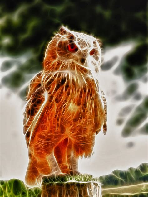 Fire Owl V1 Digital Art By Tilly Williams