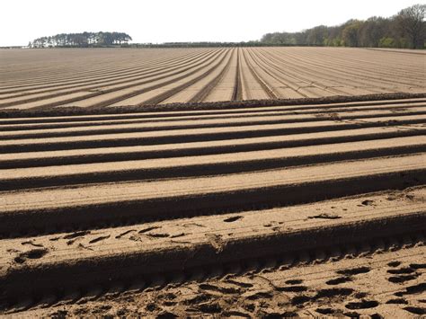 Rich Soil Ploughed Field Andy Beecroft Cc By Sa Geograph