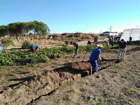 Despedida Curso Actividades Auxiliares En Agricultura Ecológica