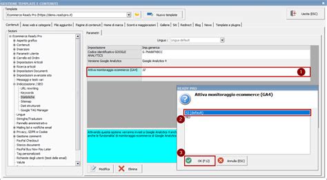 Monitoraggio Del Sito Ecommerce Con Google Analytics Ready Pro