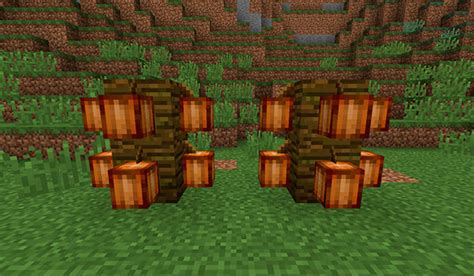 Cacao Minecraft Cómo plantarlo y para qué sirve MineCrafteo