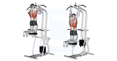 Assisted Pull Up - Guide, Benefits, and Form