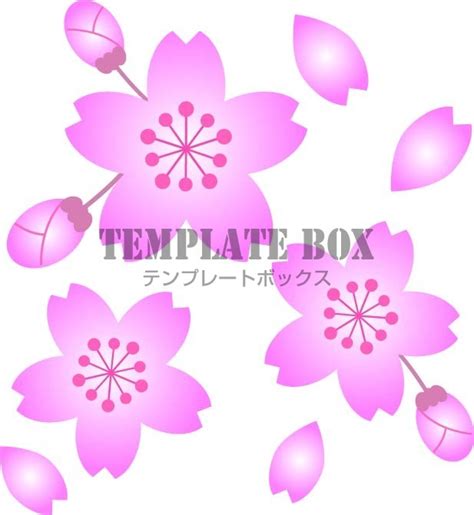 4月のイメージのワンポイントイラスト、きれいなピンク色の桜の花と花びら 無料イラスト素材｜templatebox